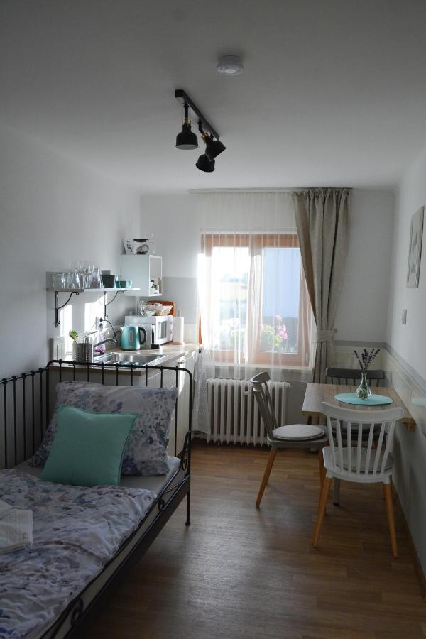 U Vaclava Apartment Knezeves  ภายนอก รูปภาพ