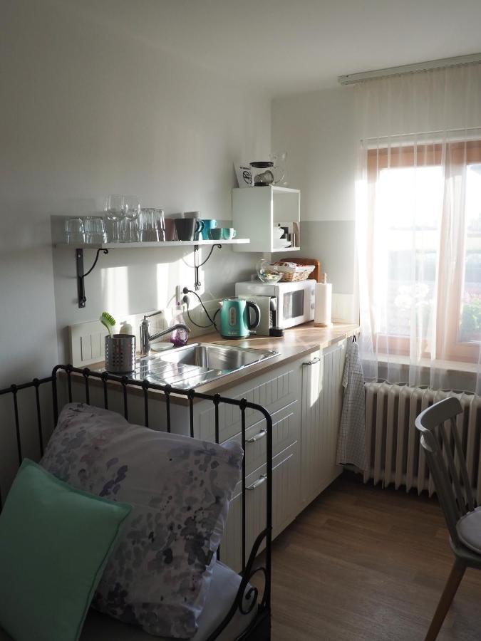 U Vaclava Apartment Knezeves  ภายนอก รูปภาพ