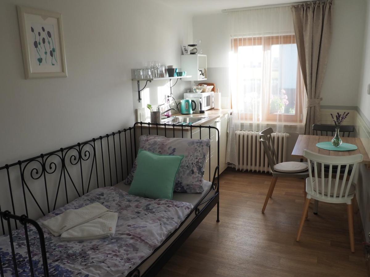 U Vaclava Apartment Knezeves  ภายนอก รูปภาพ