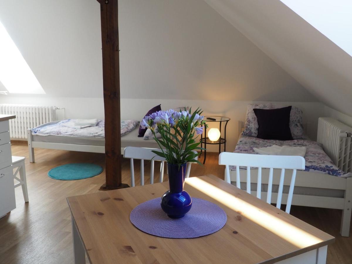 U Vaclava Apartment Knezeves  ภายนอก รูปภาพ